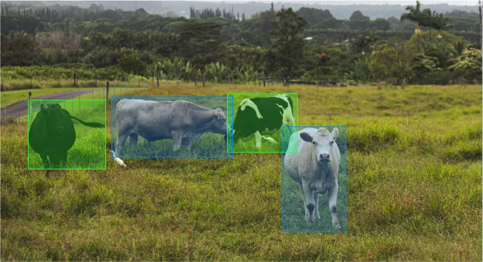 Livestock management data annotation